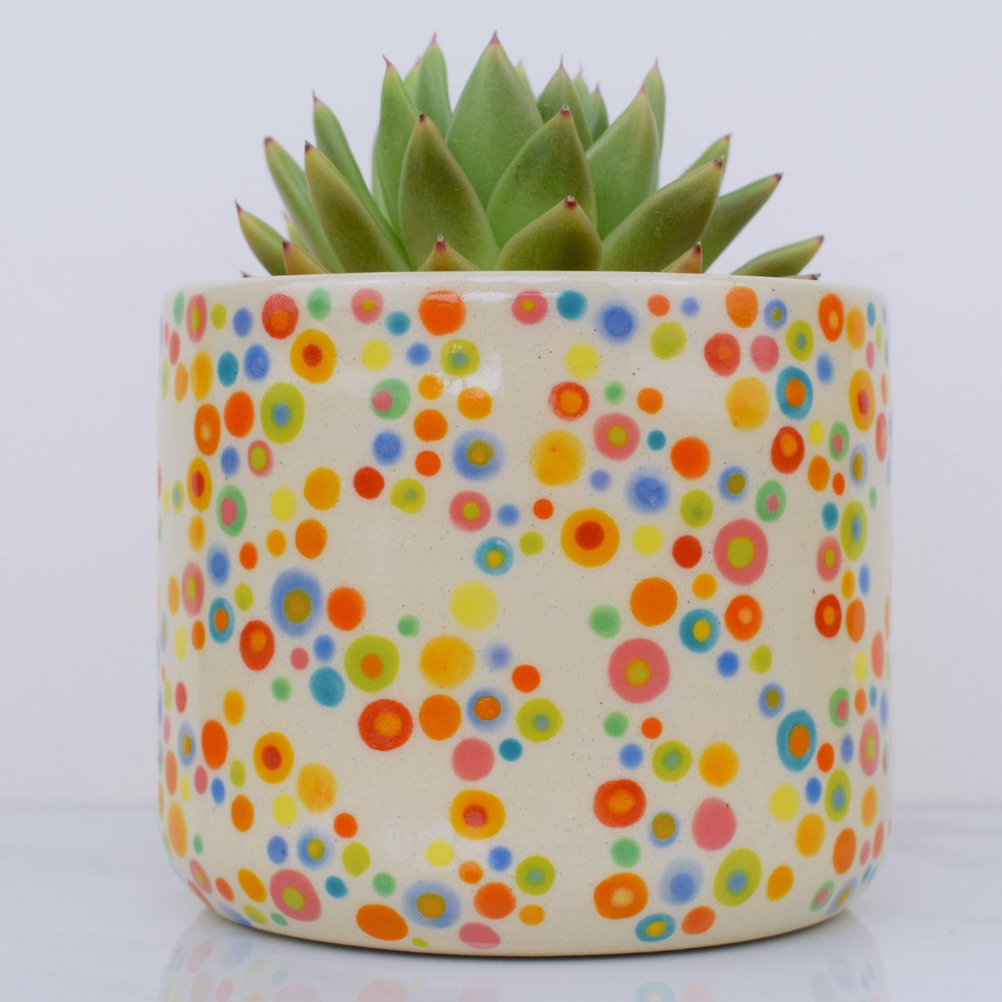 Spotty Dotty Planter