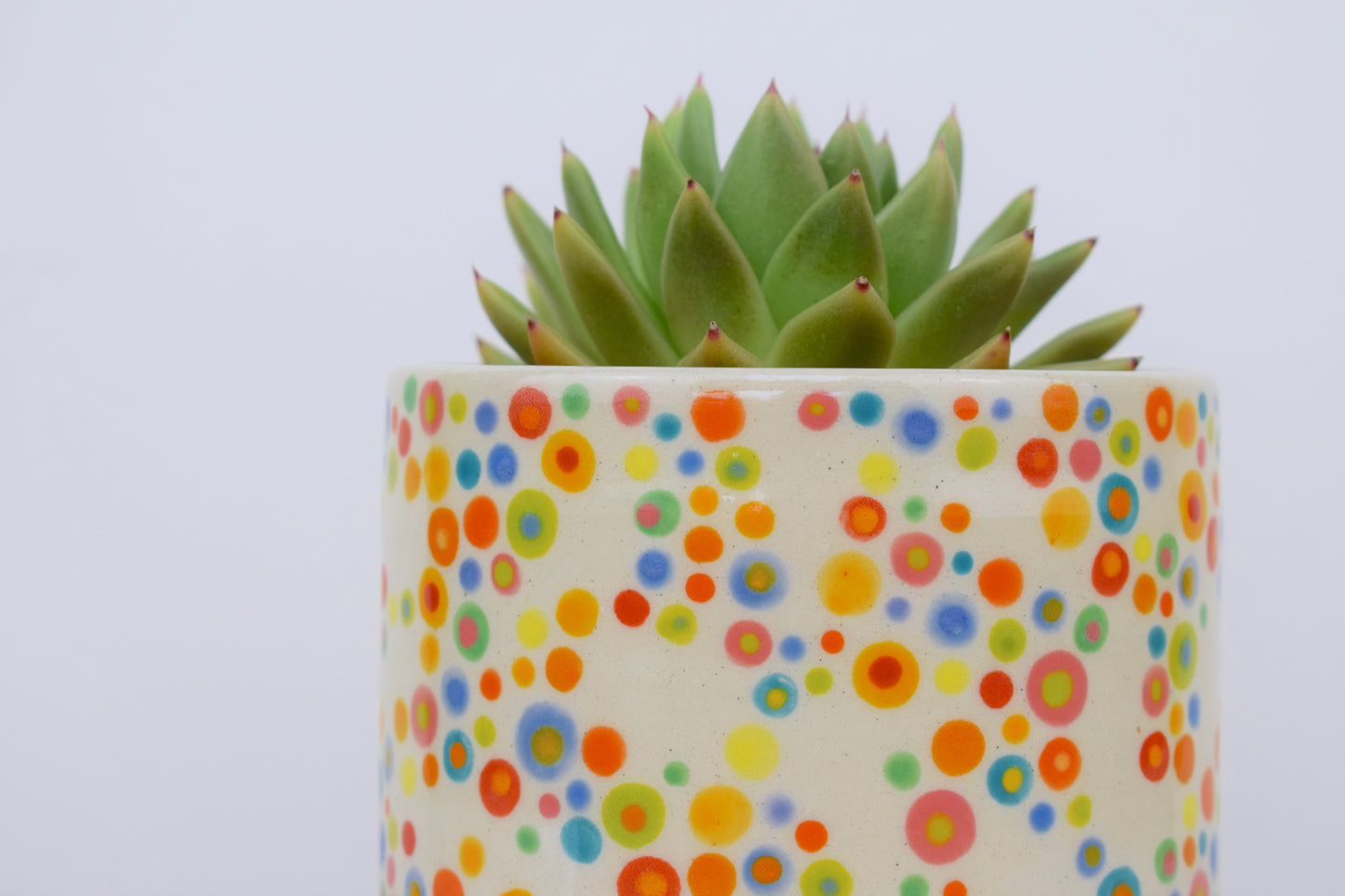 Spotty Dotty Planter