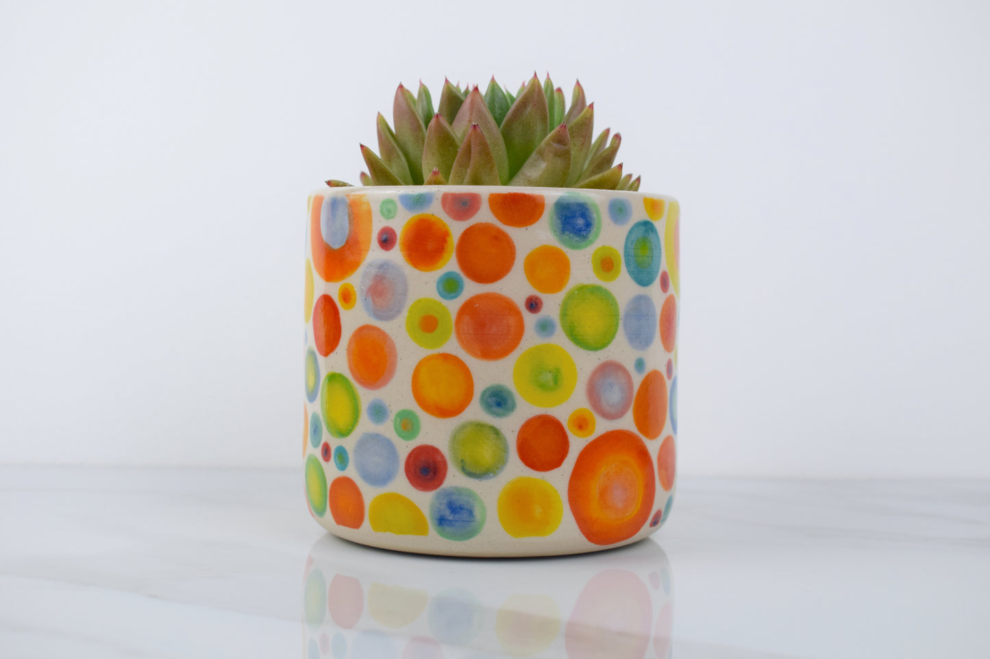 Spotty Dotty Planter