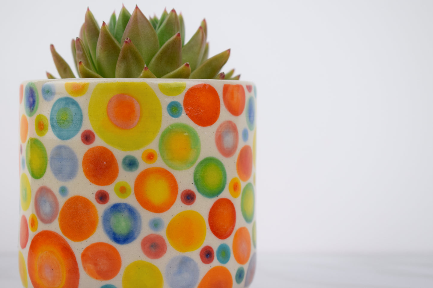 Spotty Dotty Planter