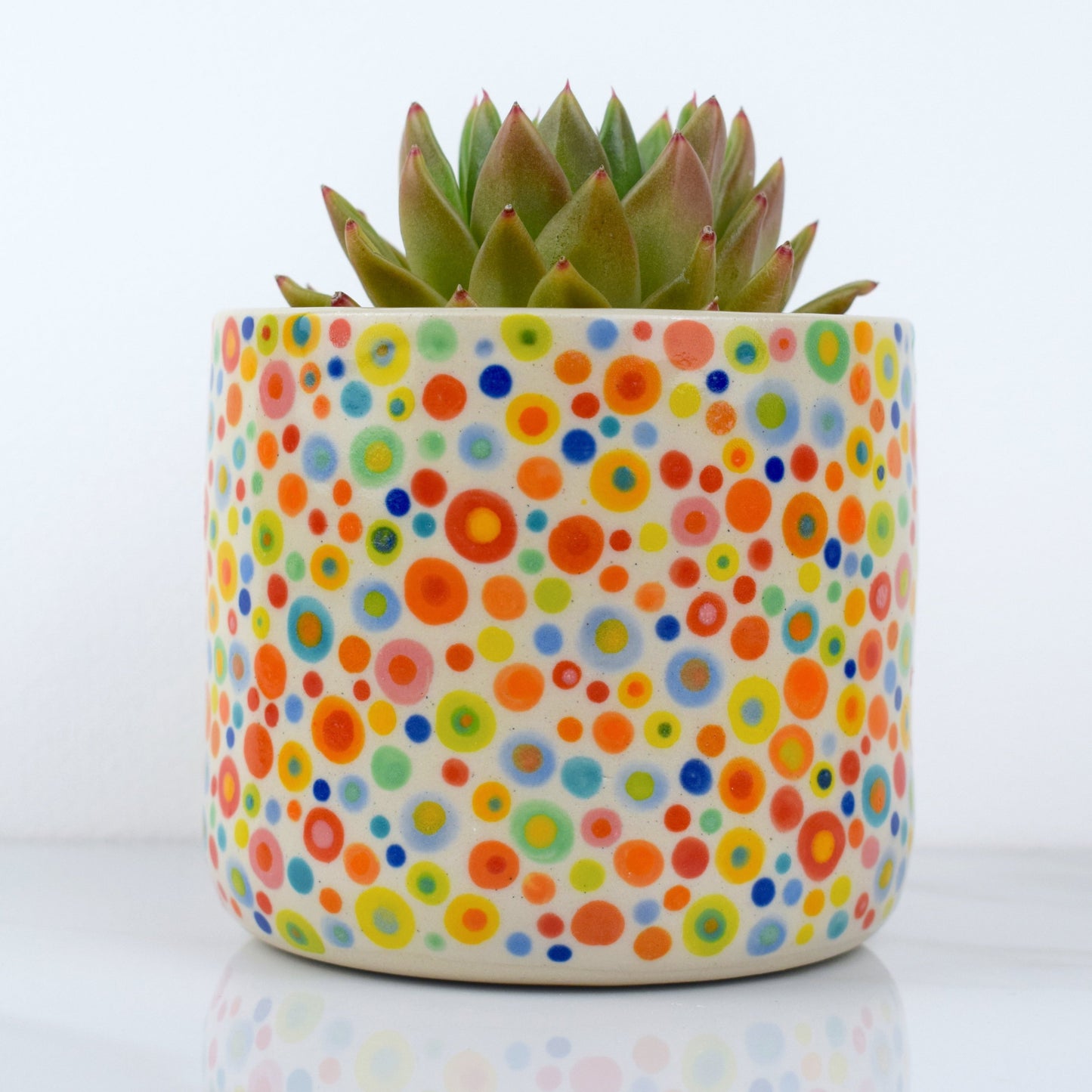 Spotty Dotty Planter