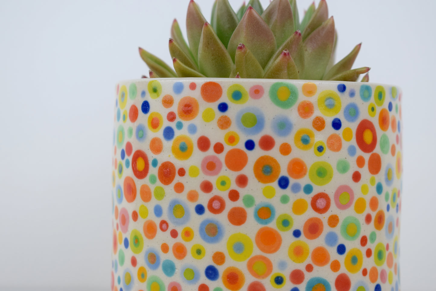 Spotty Dotty Planter