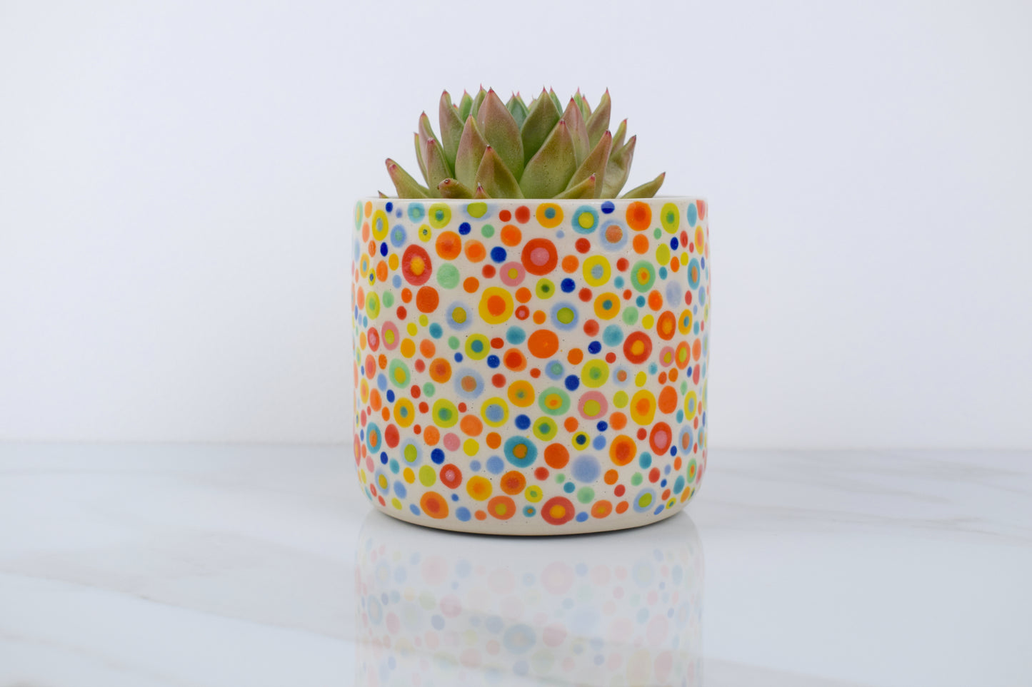 Spotty Dotty Planter